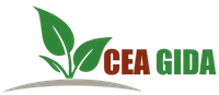 CEA GIDA